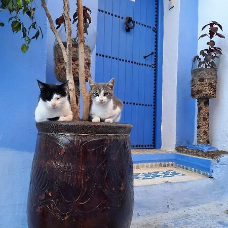 Riad Chourafa Chefchaouen Esterno foto