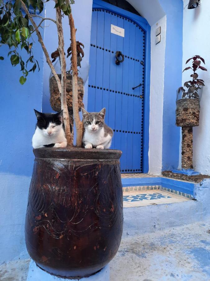 Riad Chourafa Chefchaouen Esterno foto